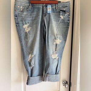 Torrid Light Blue Distressed Boyfriend Jeans